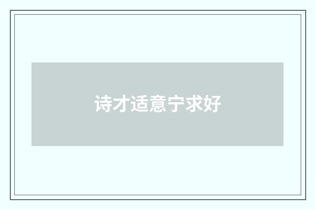诗才适意宁求好
