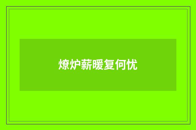 燎炉薪暖复何忧