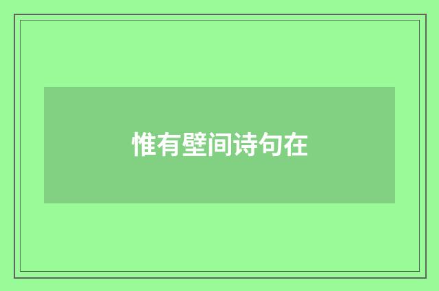 惟有壁间诗句在