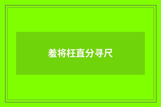 羞将枉直分寻尺