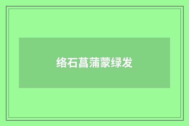 络石菖蒲蒙绿发