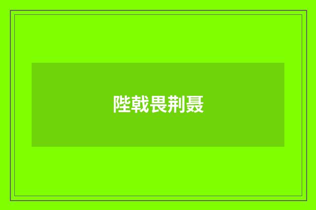 陛戟畏荆聂
