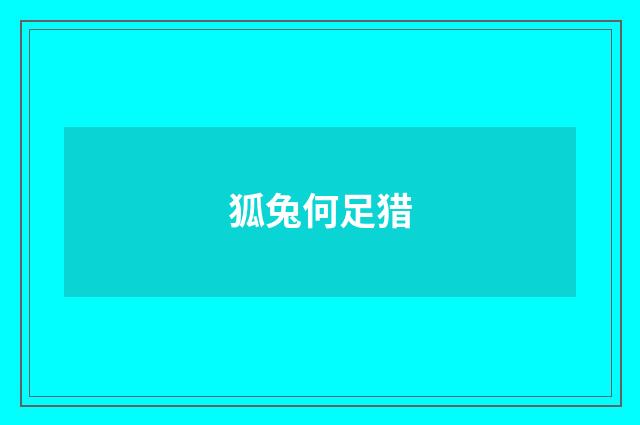 狐兔何足猎