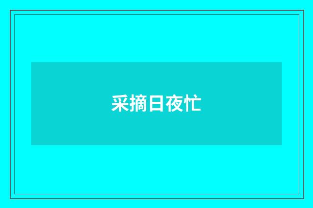 采摘日夜忙