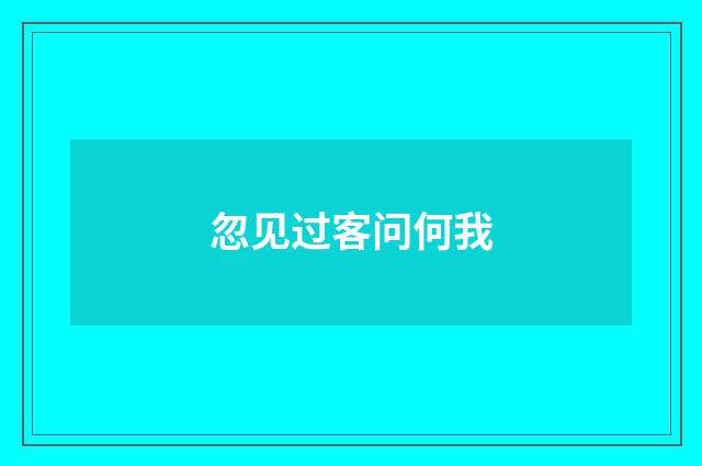 忽见过客问何我