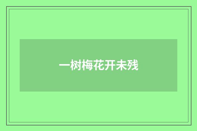 一树梅花开未残