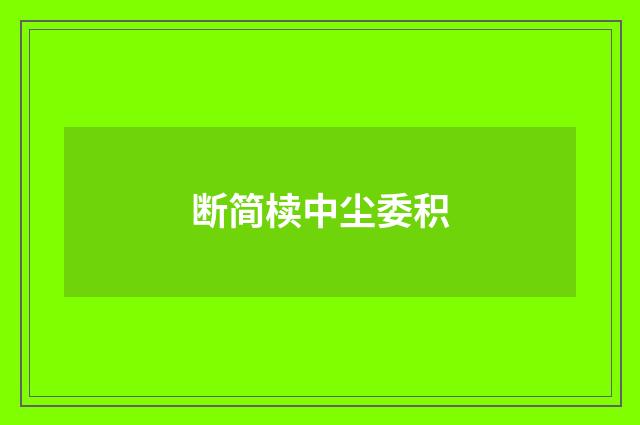 断简椟中尘委积