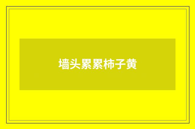墙头累累柿子黄