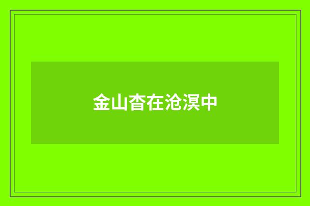 金山杳在沧溟中