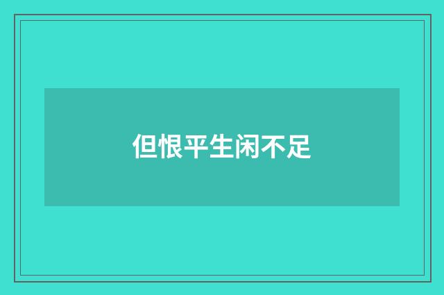 但恨平生闲不足