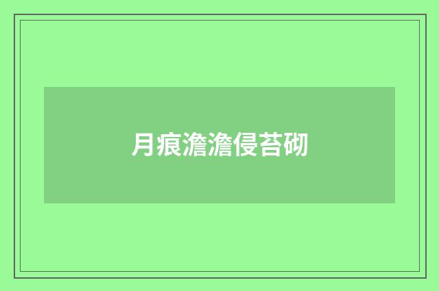 月痕澹澹侵苔砌