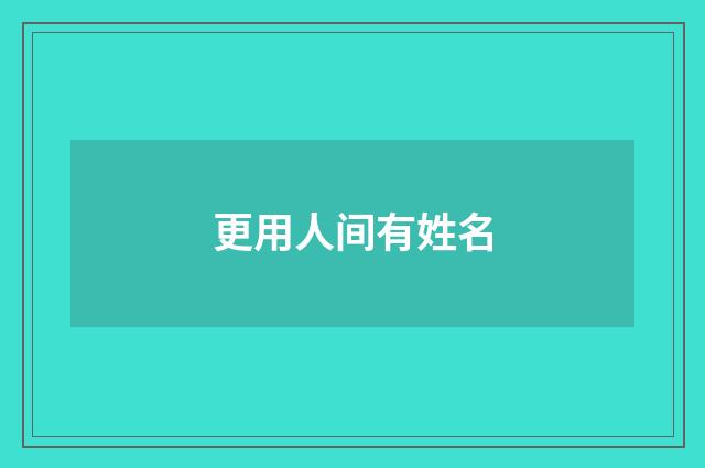 更用人间有姓名