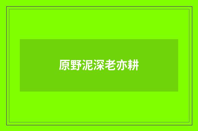 原野泥深老亦耕