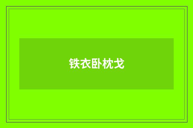 铁衣卧枕戈