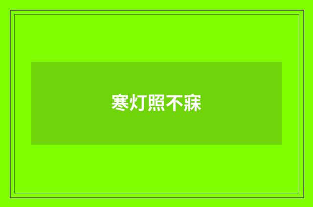 寒灯照不寐