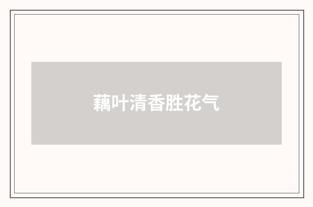 藕叶清香胜花气
