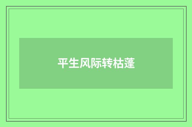 平生风际转枯蓬