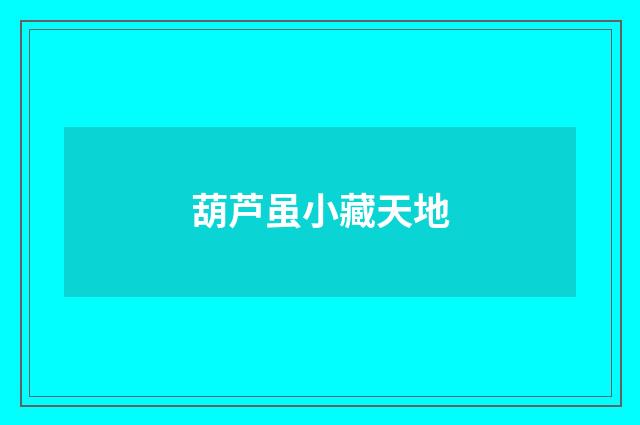 葫芦虽小藏天地