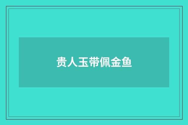 贵人玉带佩金鱼