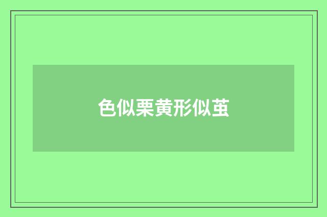 色似栗黄形似茧