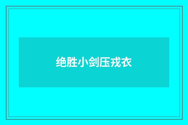绝胜小剑压戎衣