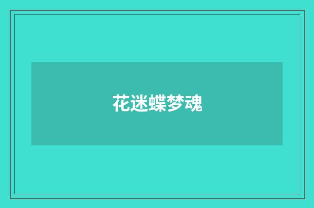 花迷蝶梦魂