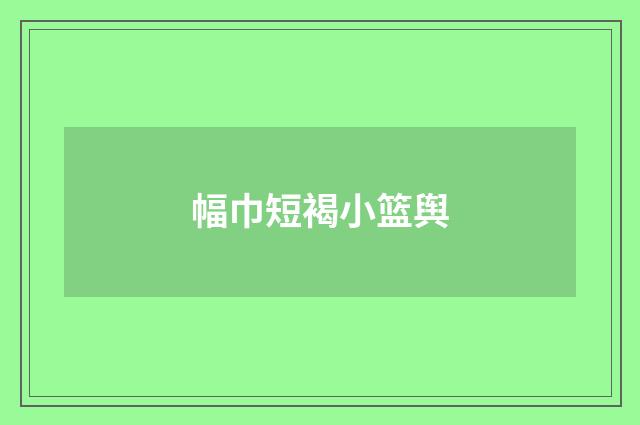 幅巾短褐小篮舆
