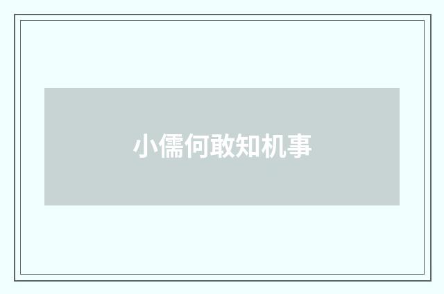 小儒何敢知机事