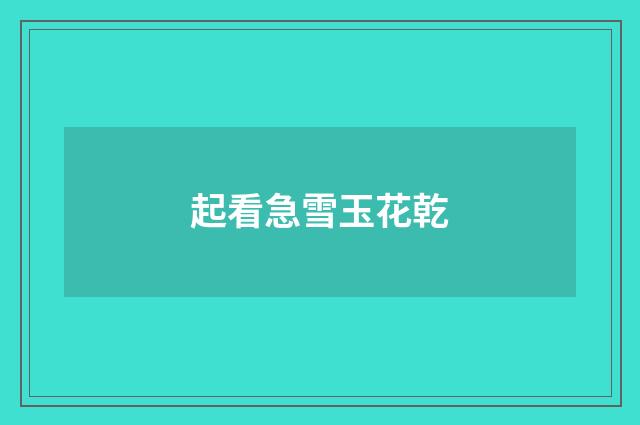 起看急雪玉花乾