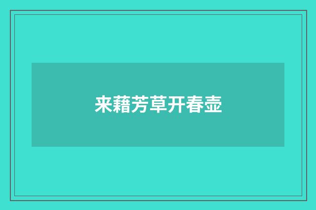 来藉芳草开春壶