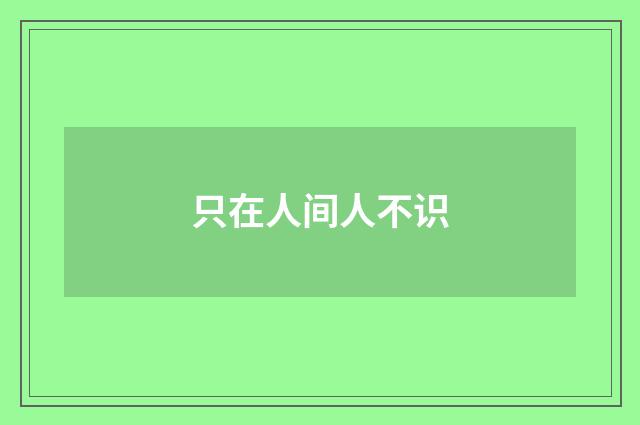 只在人间人不识