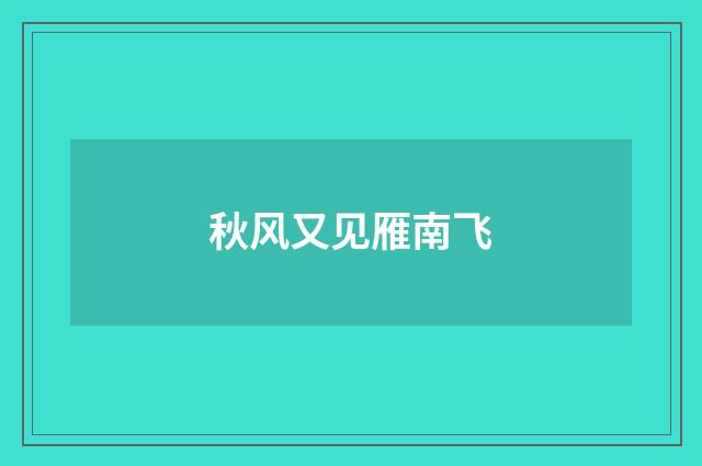 秋风又见雁南飞