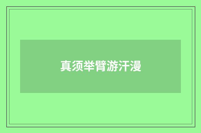 真须举臂游汗漫