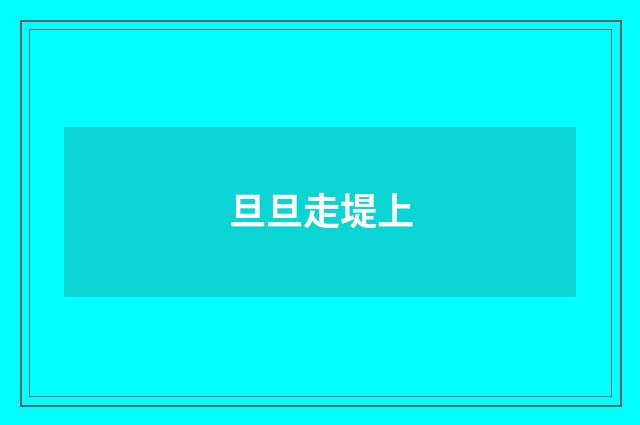 旦旦走堤上