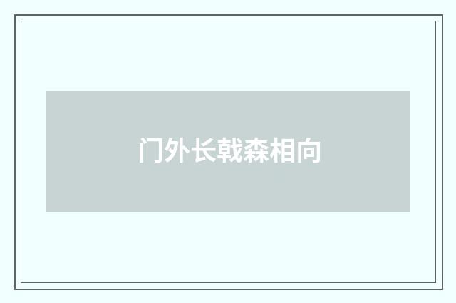 门外长戟森相向