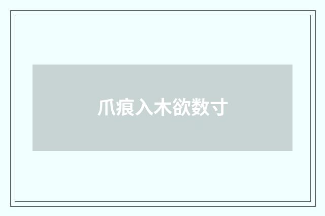 爪痕入木欲数寸