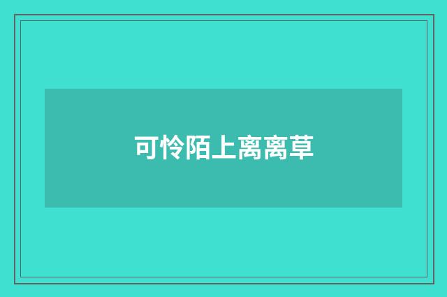 可怜陌上离离草