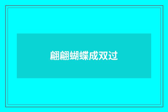 翩翩蝴蝶成双过