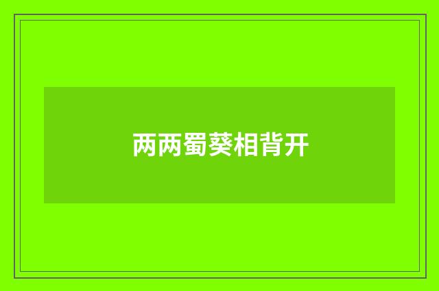两两蜀葵相背开