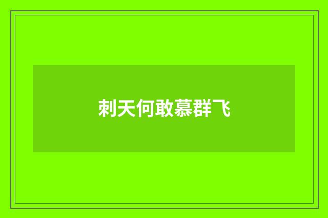 刺天何敢慕群飞