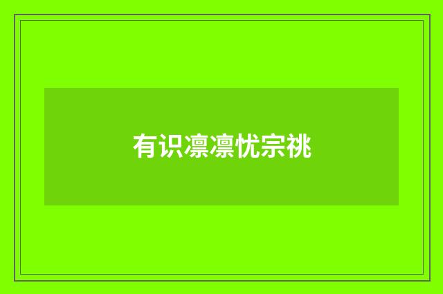 有识凛凛忧宗祧