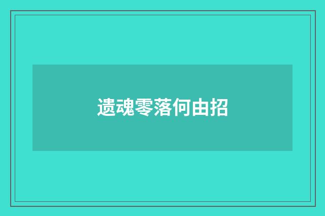 遗魂零落何由招