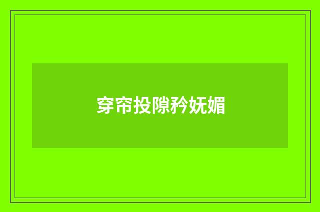 穿帘投隙矜妩媚