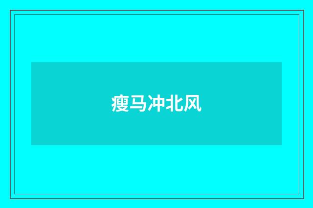瘦马冲北风