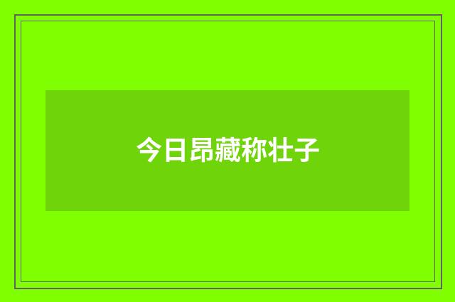 今日昂藏称壮子
