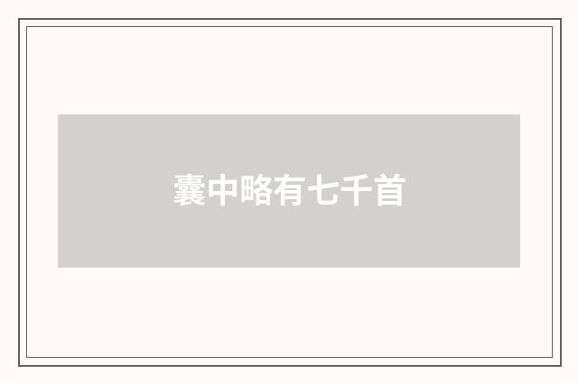 囊中略有七千首