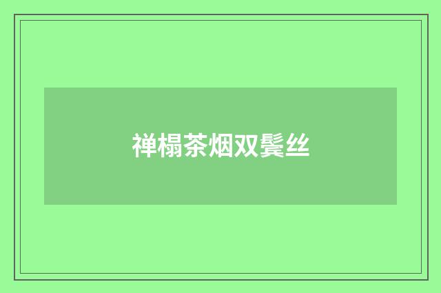 禅榻茶烟双鬓丝