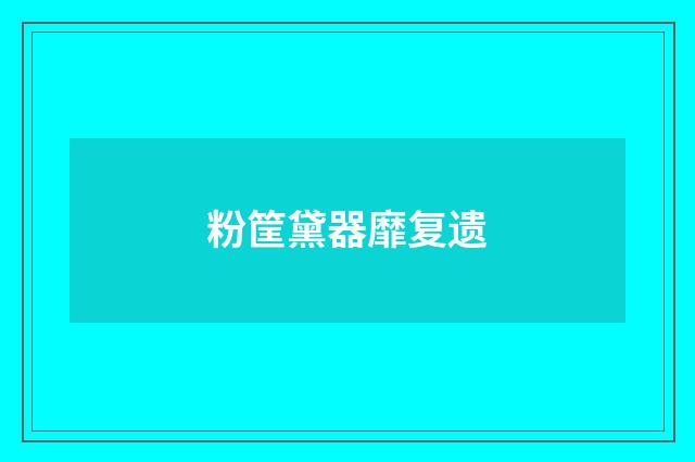 粉筐黛器靡复遗