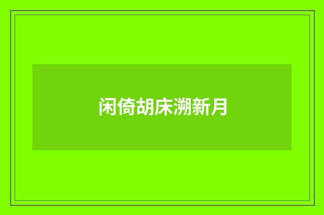 闲倚胡床溯新月