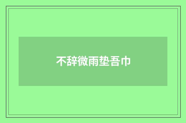 不辞微雨垫吾巾